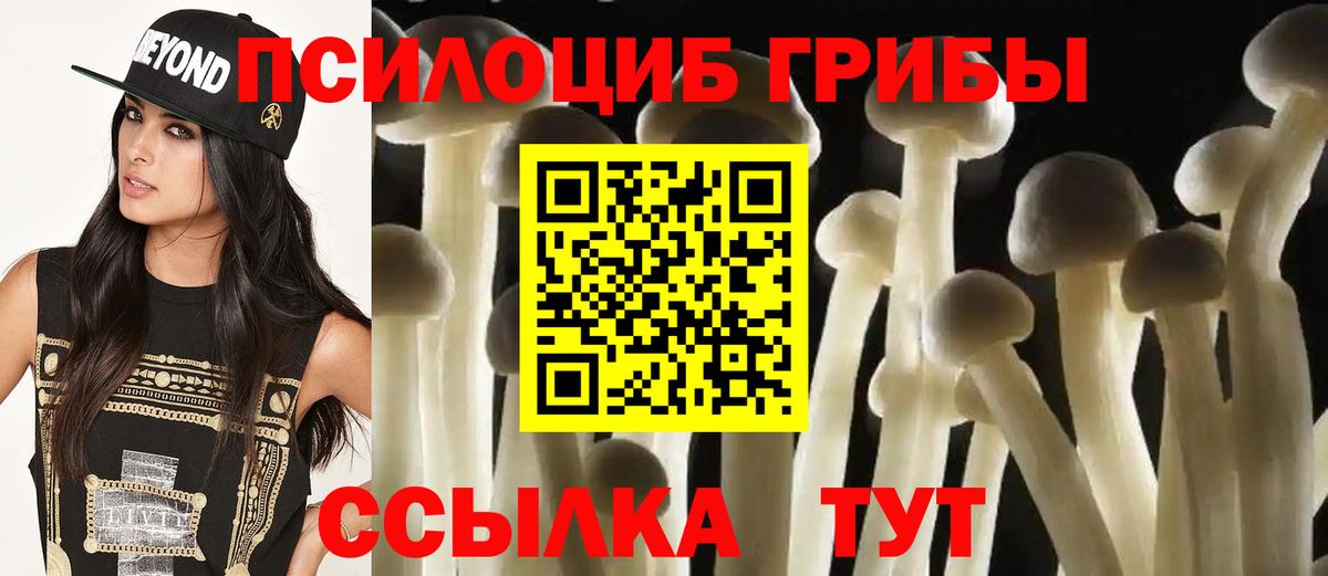 Каспийск  Псилоцибиновые грибы Psilocybe  Вход с VPN 